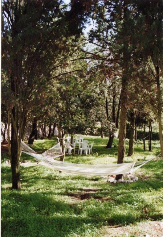 Masseria Murgia Albanese Noci Dış mekan fotoğraf