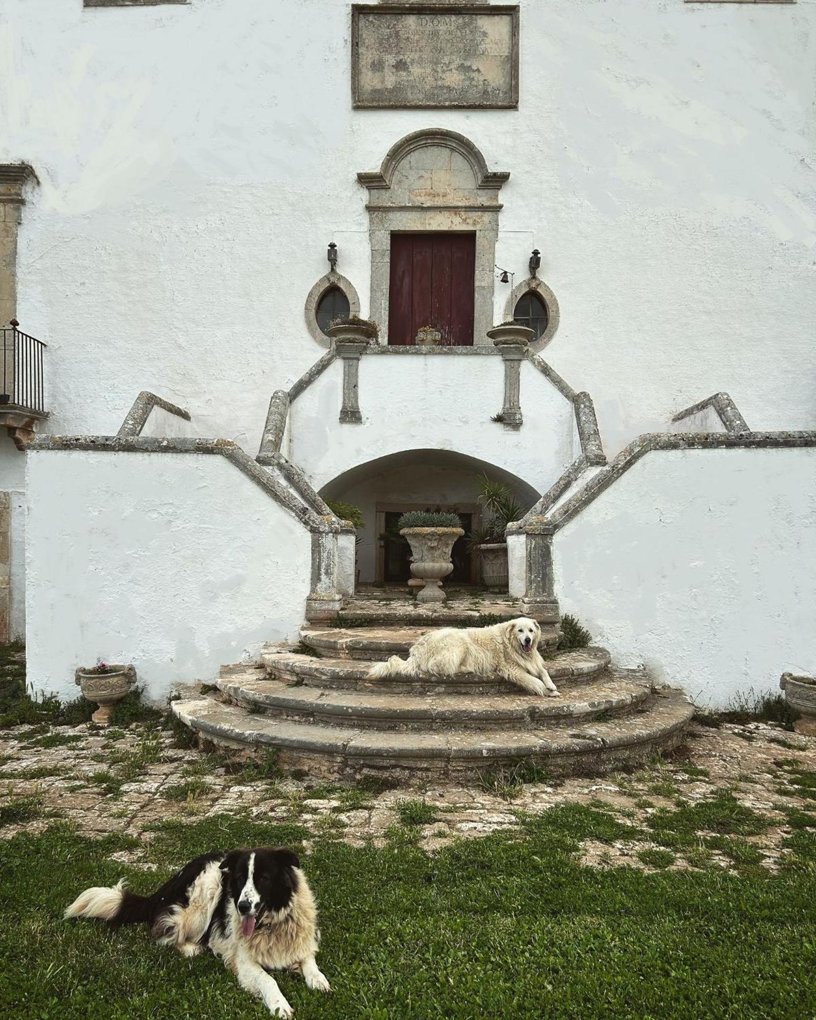 Masseria Murgia Albanese Noci Dış mekan fotoğraf